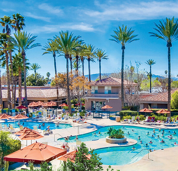 Pools under palm trees in a resort.