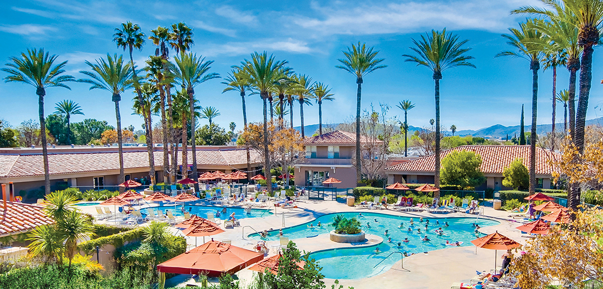 Pools under palm trees in a resort.