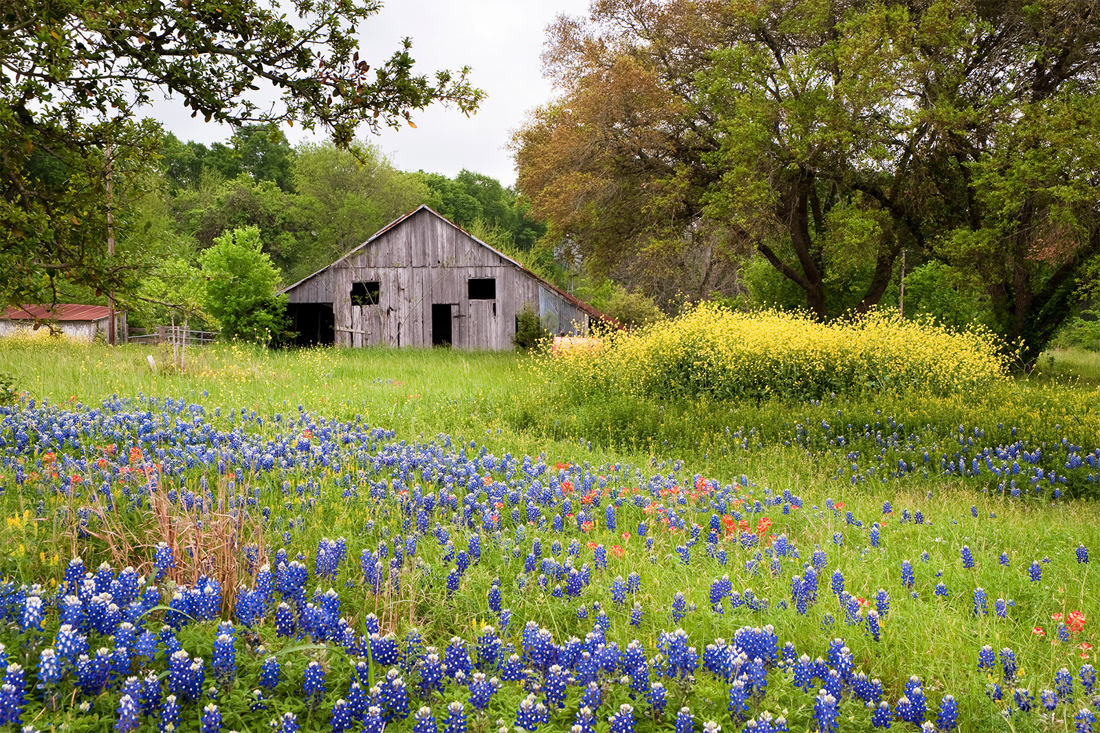 Barn in TX hill country