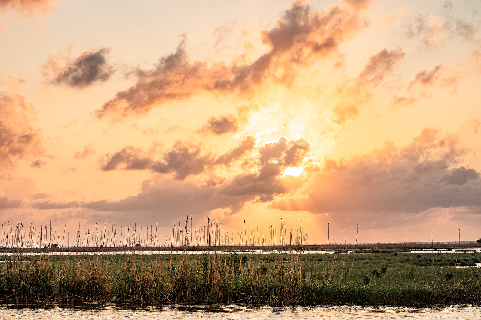 The Bayou outside Slidell