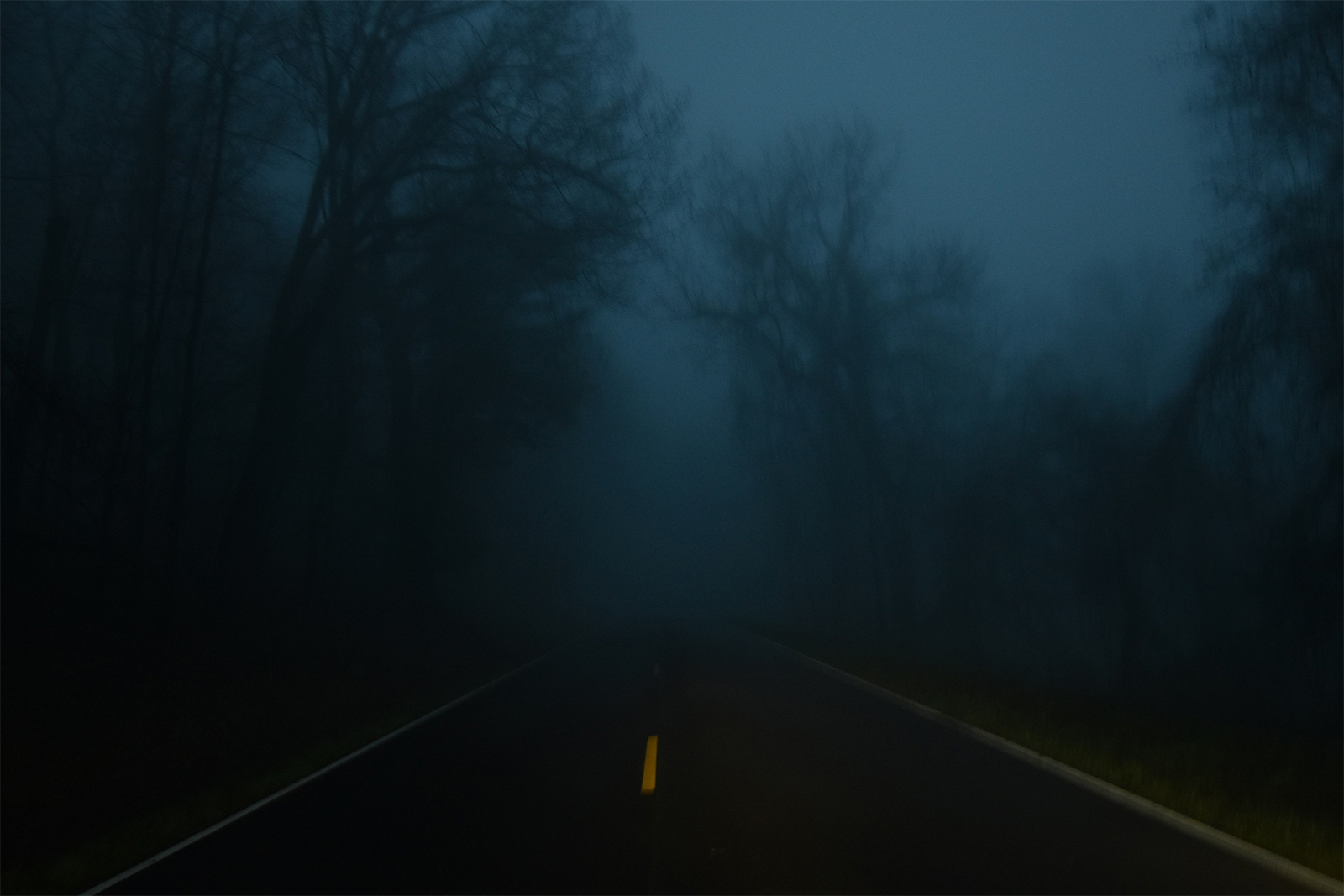 Haunted road in Florida