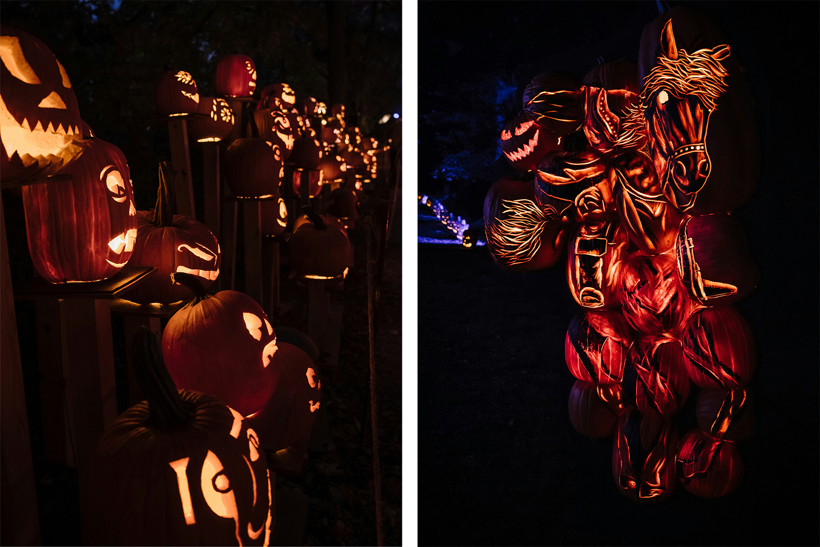 Jack O Lantern display