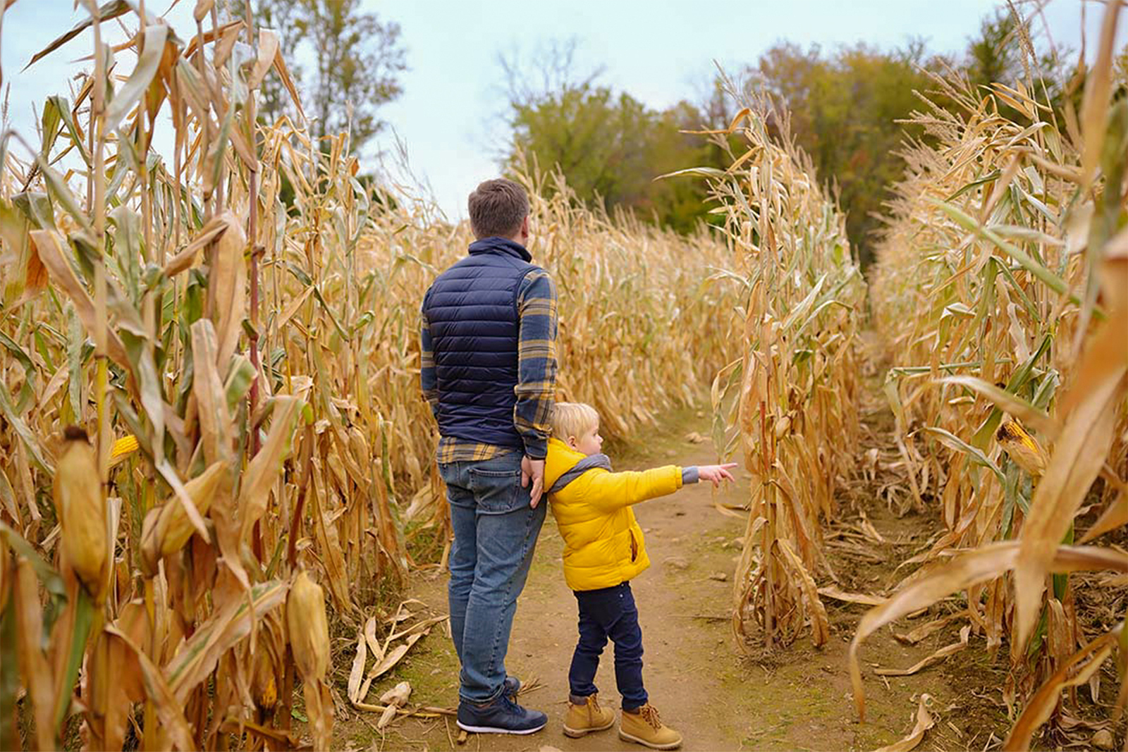 Father and son at corn maze