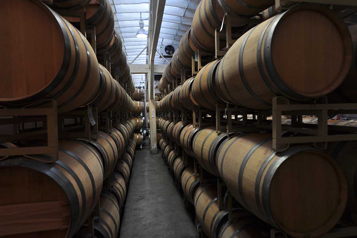 Casks in a winery.