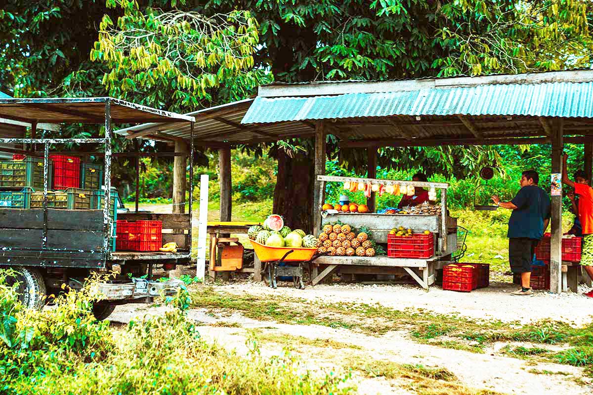 A roadside stand selling veggies.