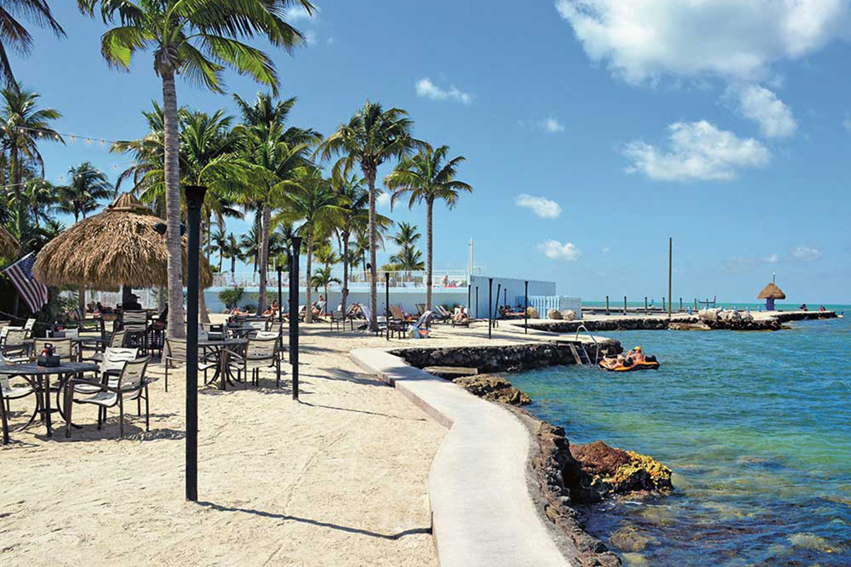 Rugged shoreline of resort under palm trees.