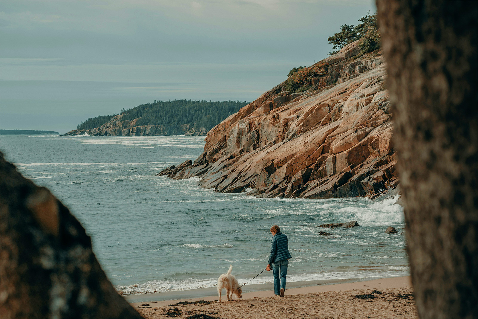 Walking dog on ocean at Acadia NP