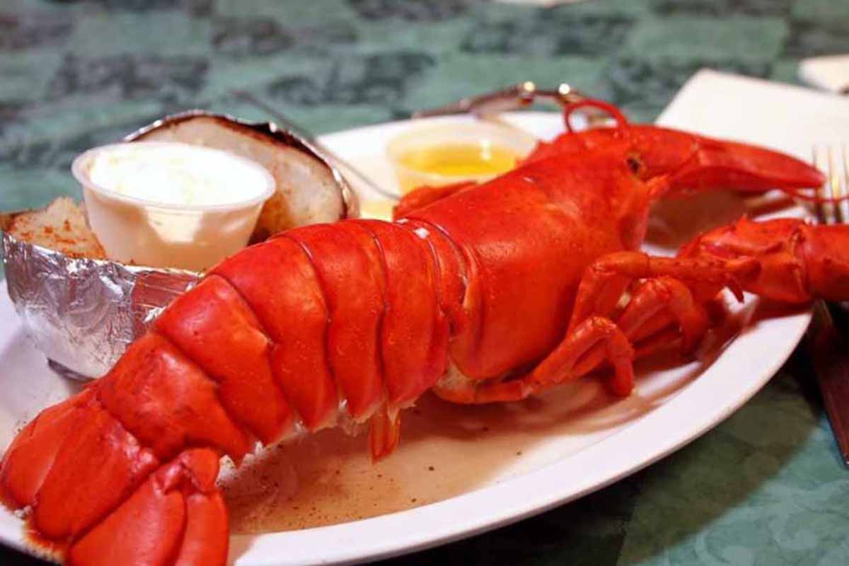 Lobster on plate with butter and more.