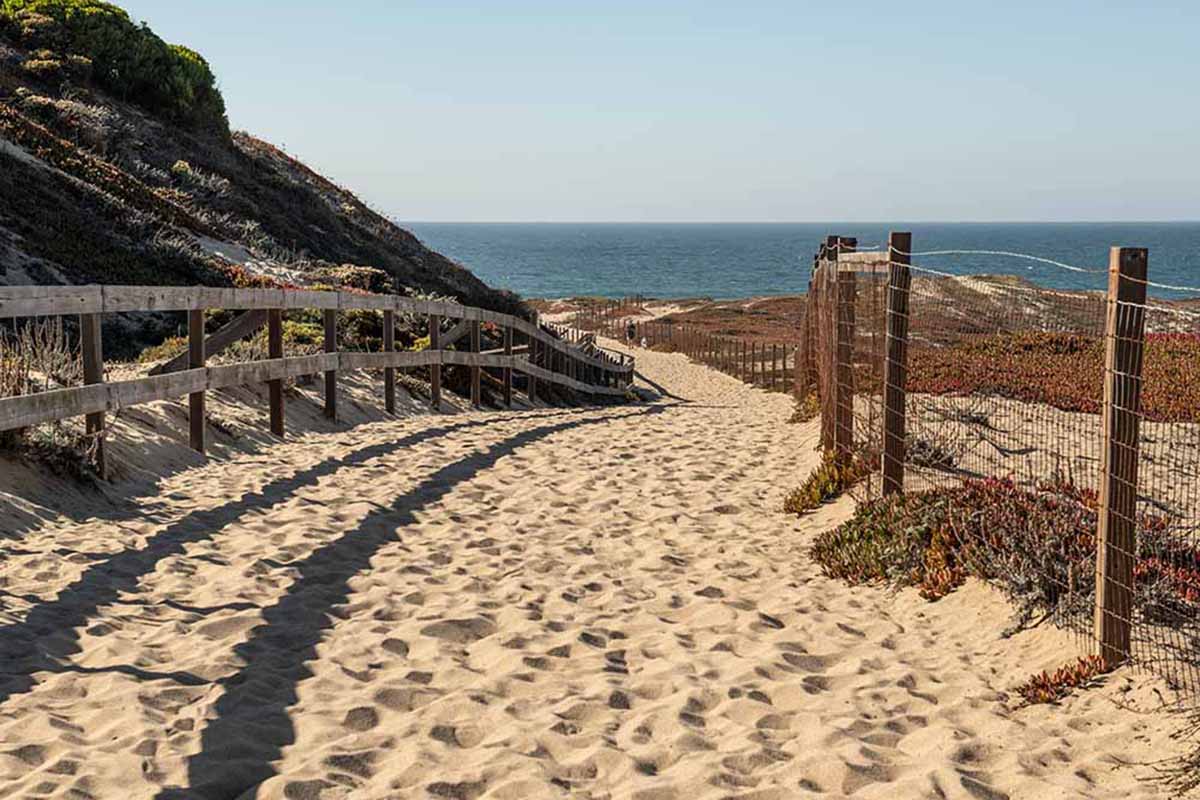 A sandy trail leading to the ocean shore.