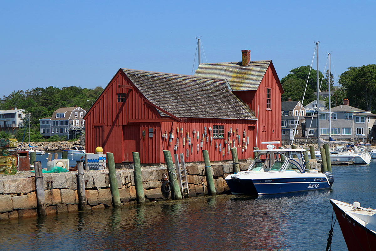 Red shock on the dock.