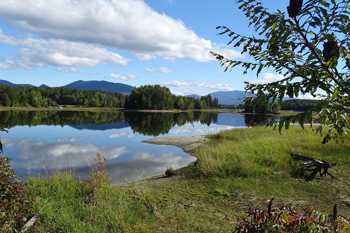 Lake reflecting clear sky.