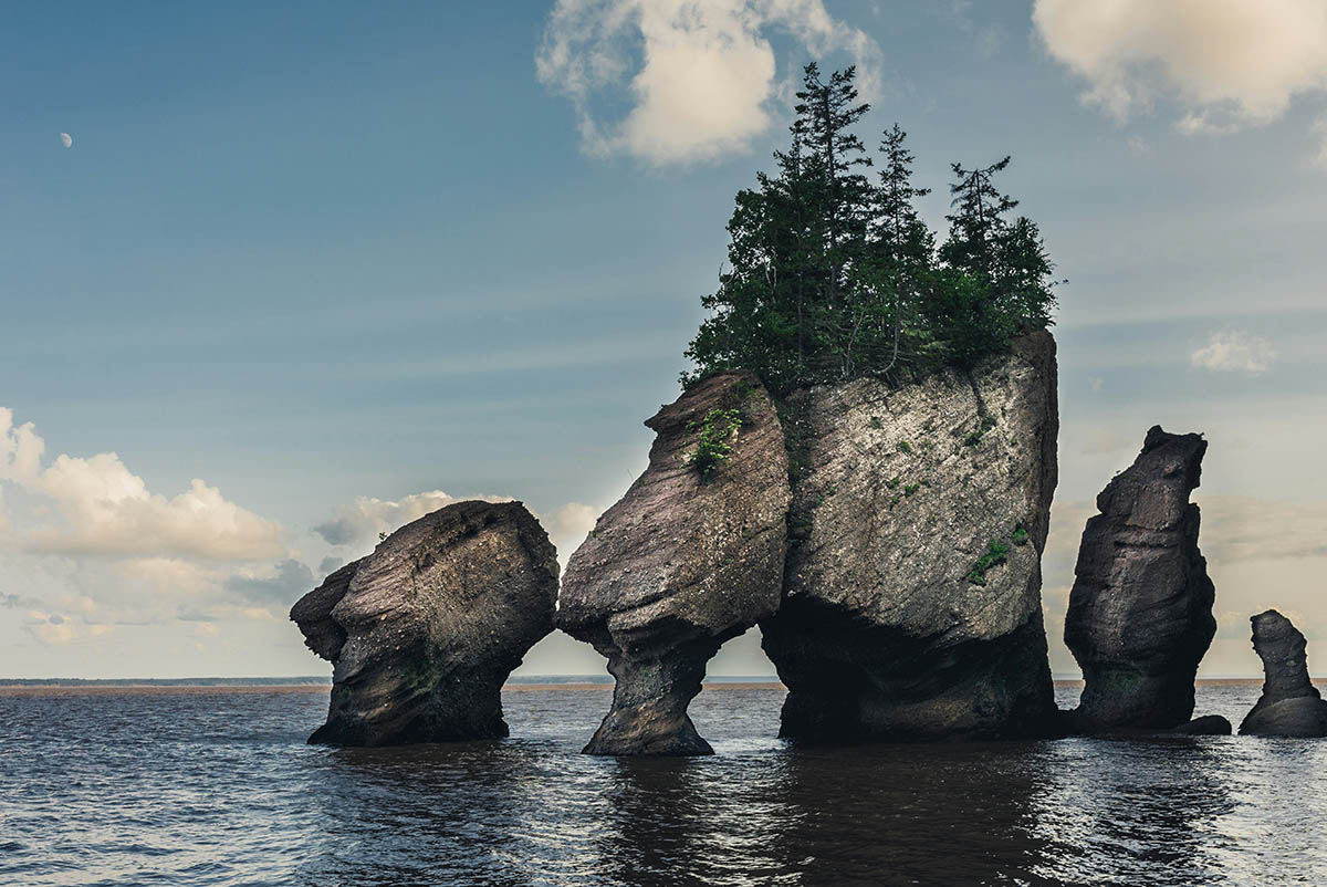 Rugged rock outcroppings.