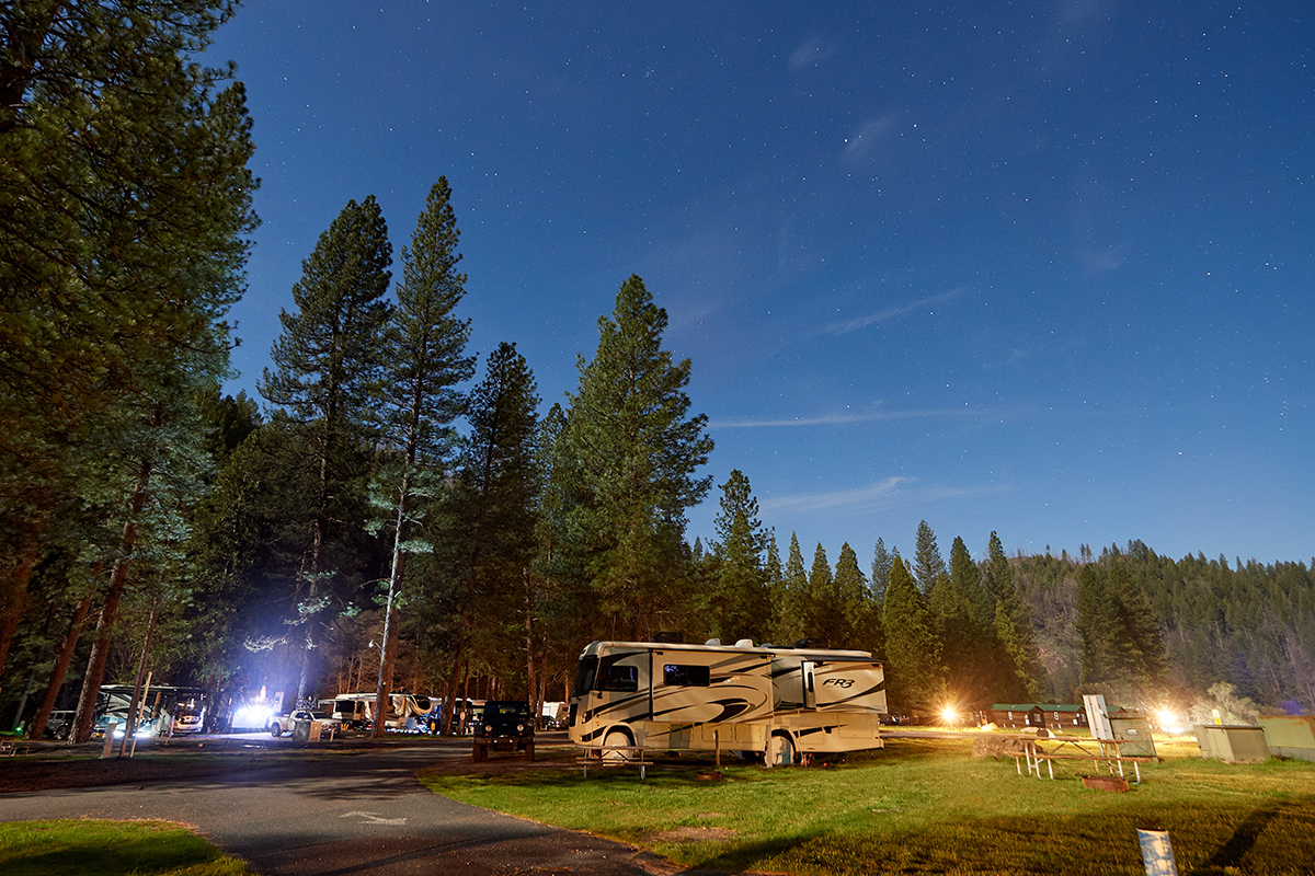 RV parked near tall forest.