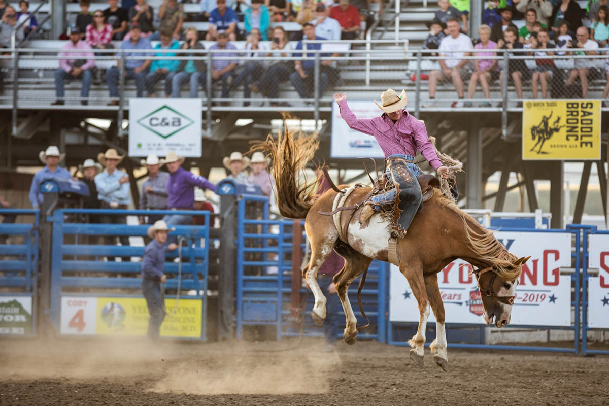 Cowboy riding a bucking bronco.