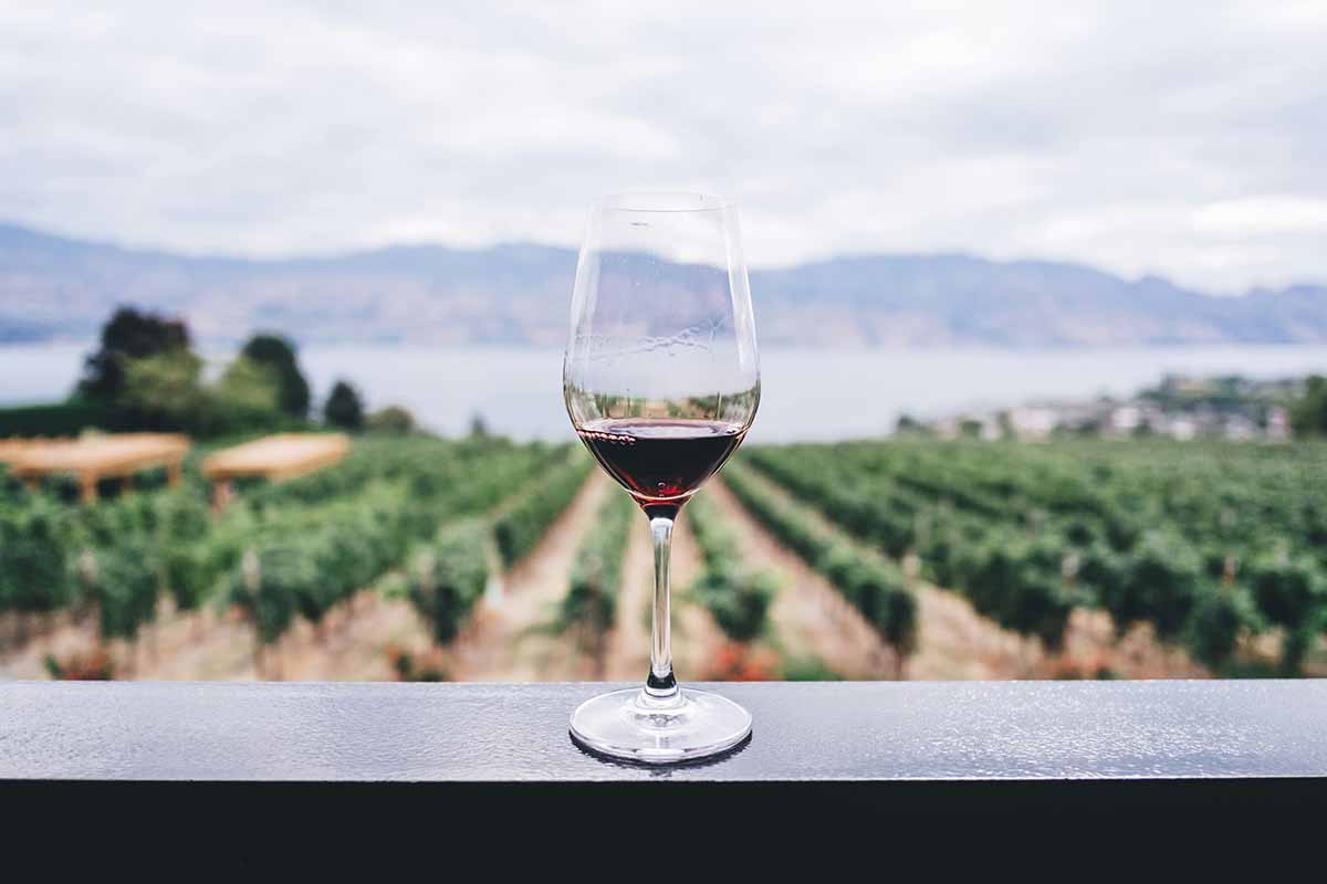 Glass of wine set on a railing.