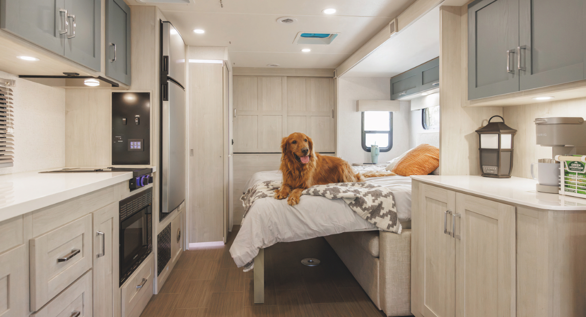 Wildam RV intel - Winnebago Sunflyer