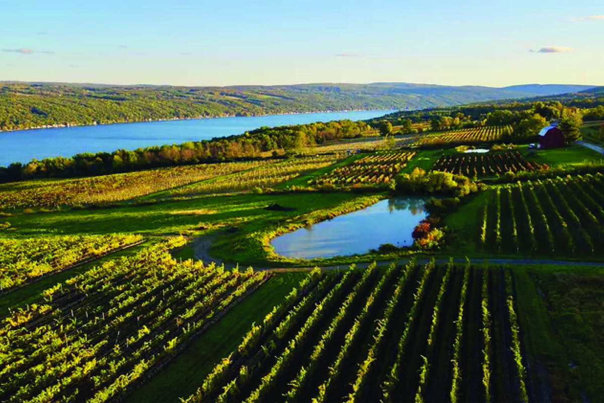 Aerial shot of pond near river.