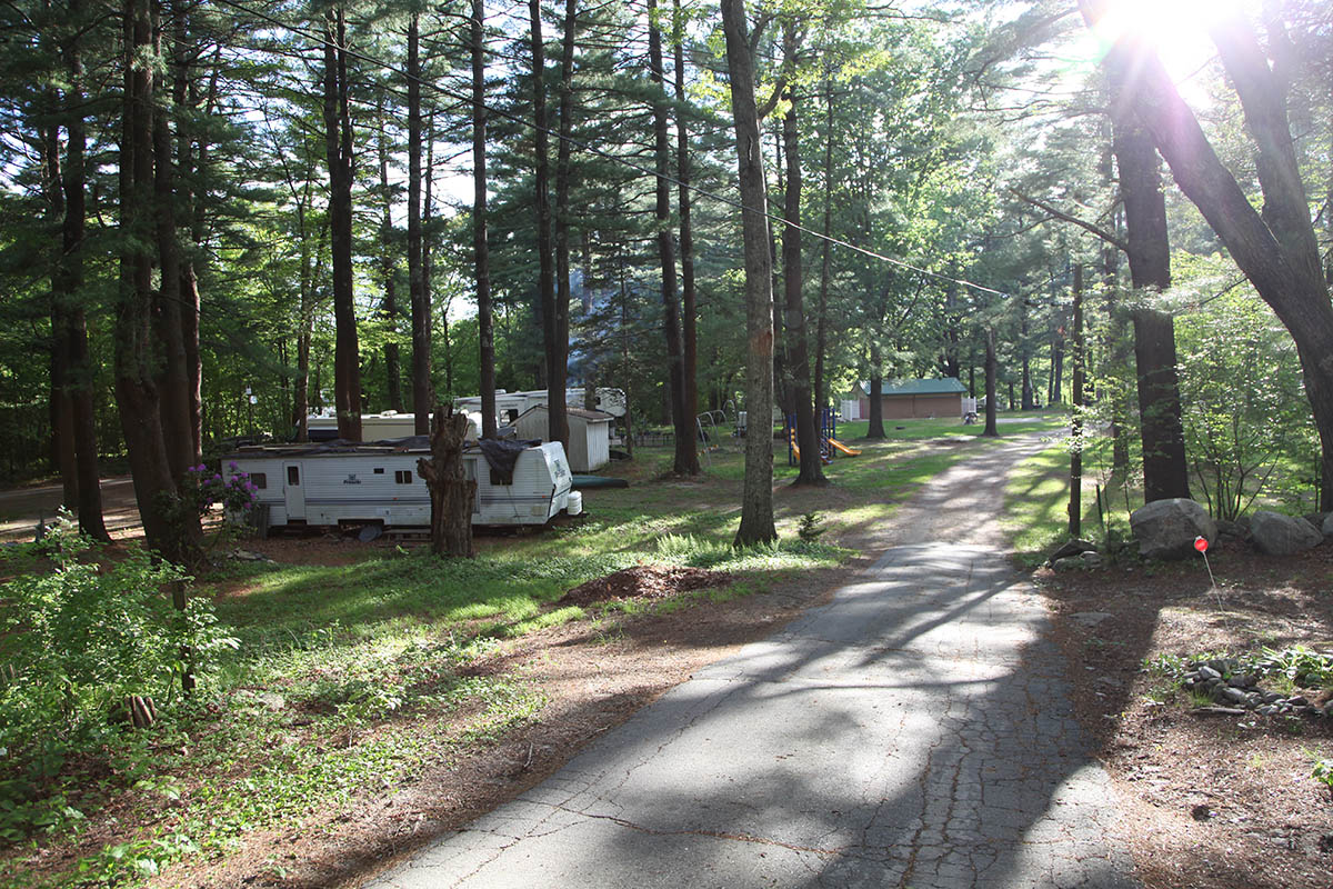 Paved road leading through tree-lined campground.