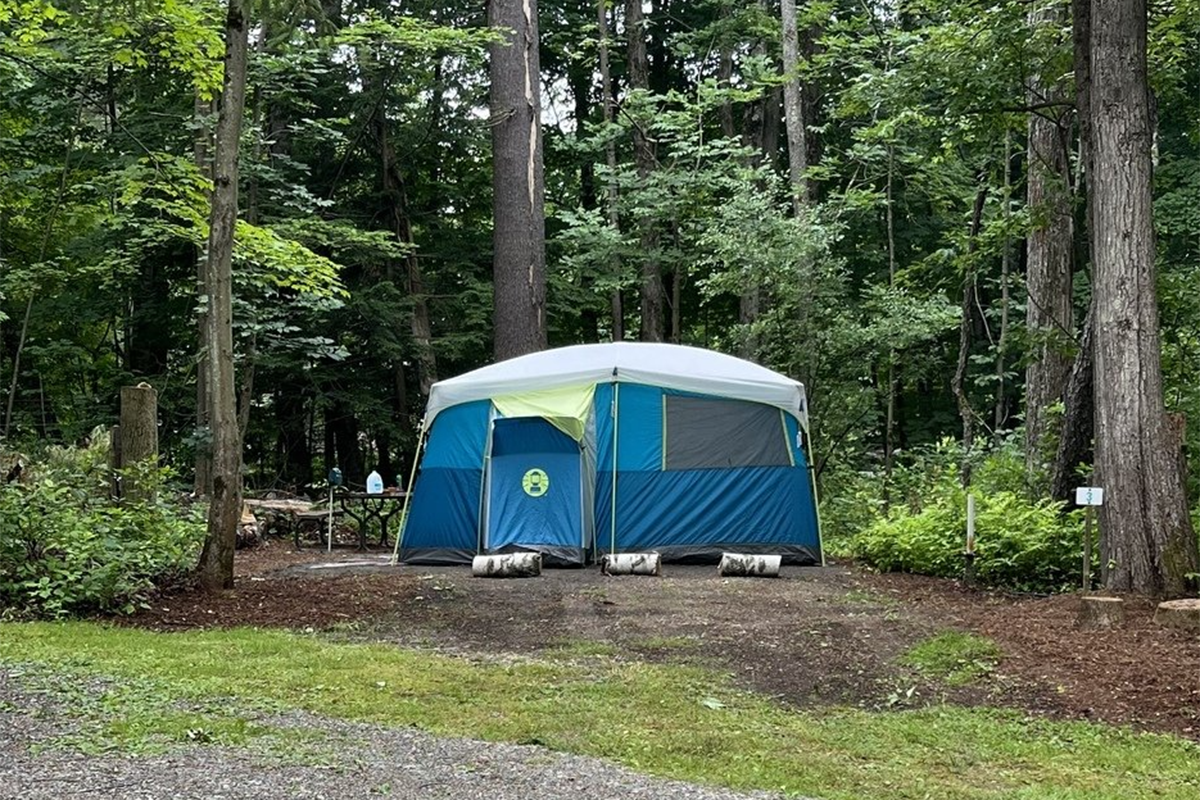 Tent in a campsite surrounded by tall trees.