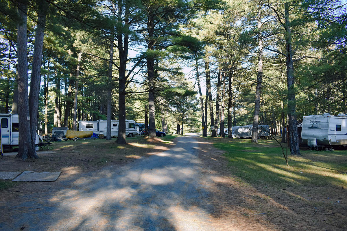 Road leading to campsites.