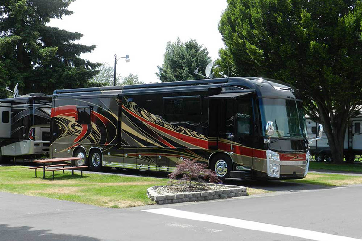 A black high-end motorhome is parked in a campground.