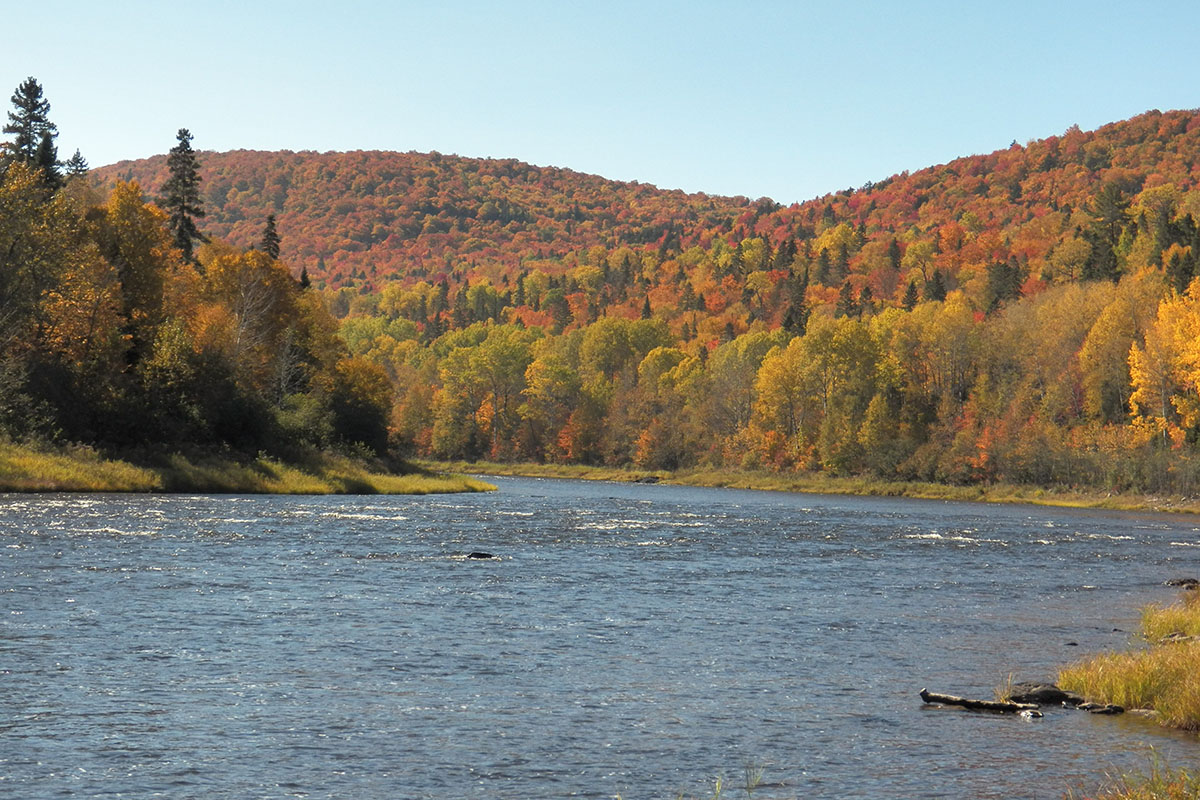 River against fall scenery.
