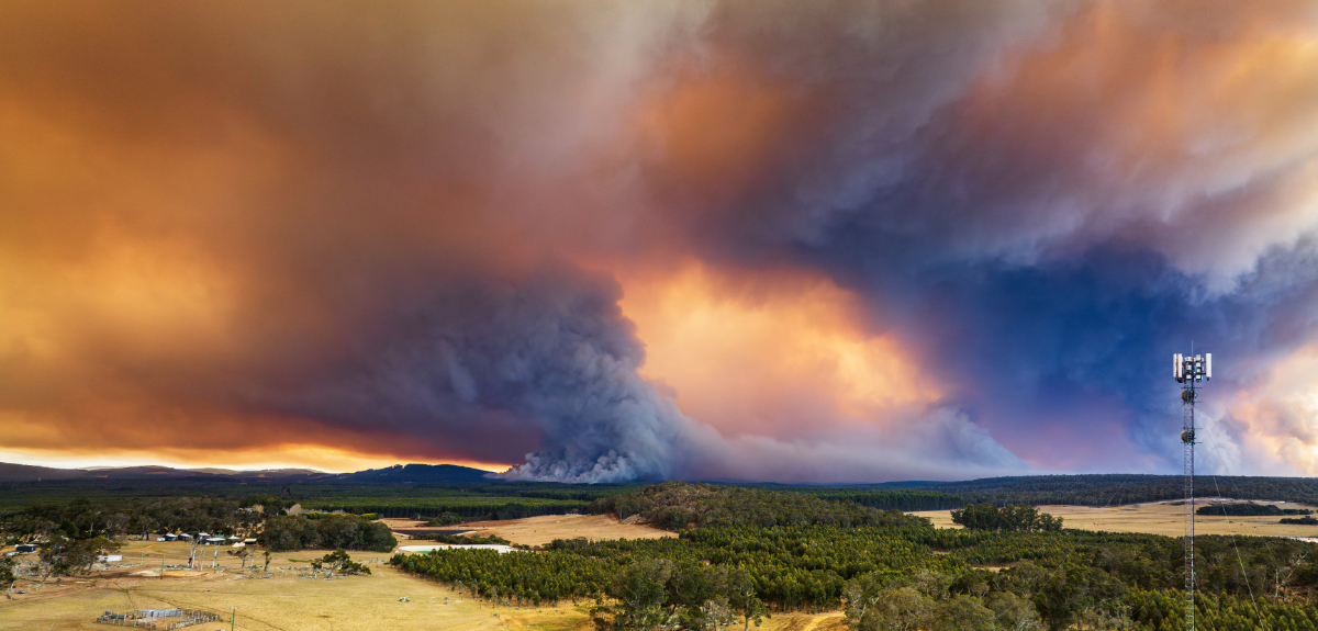 Wildfire Smoke