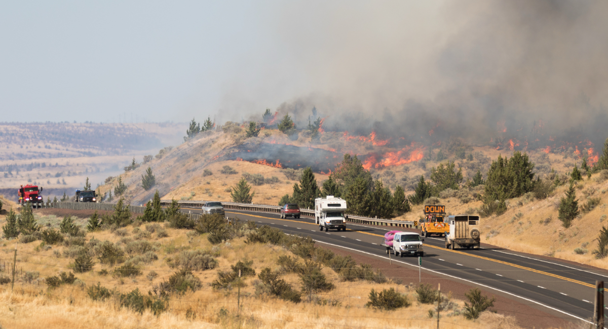 Wildfire Smoke