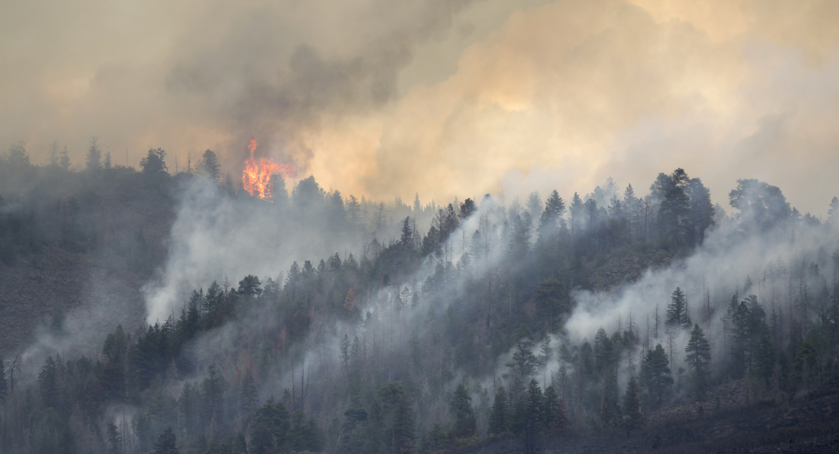 Wildfire Smoke
