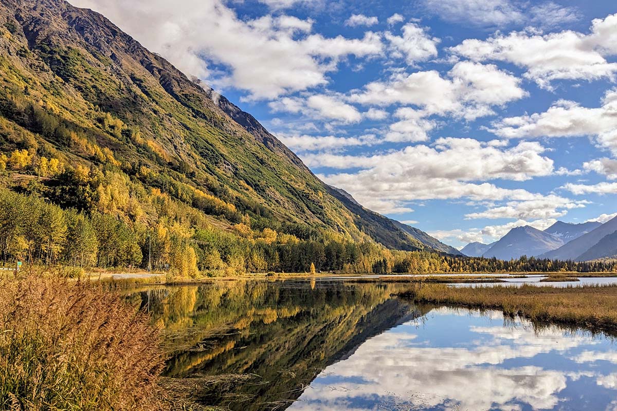 Beautiful forest reflected on a lake.