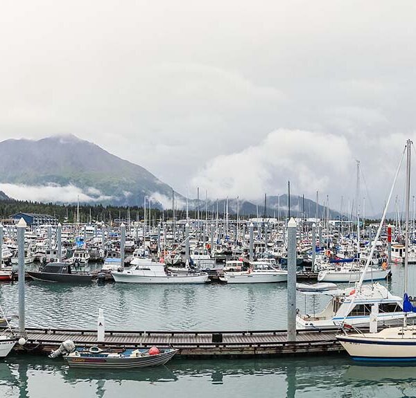 Boats in marina.