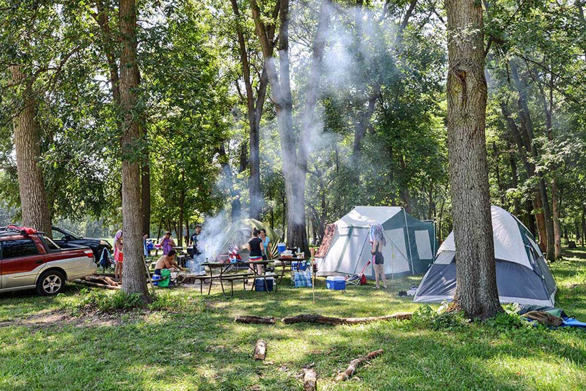 Camping under lush trees