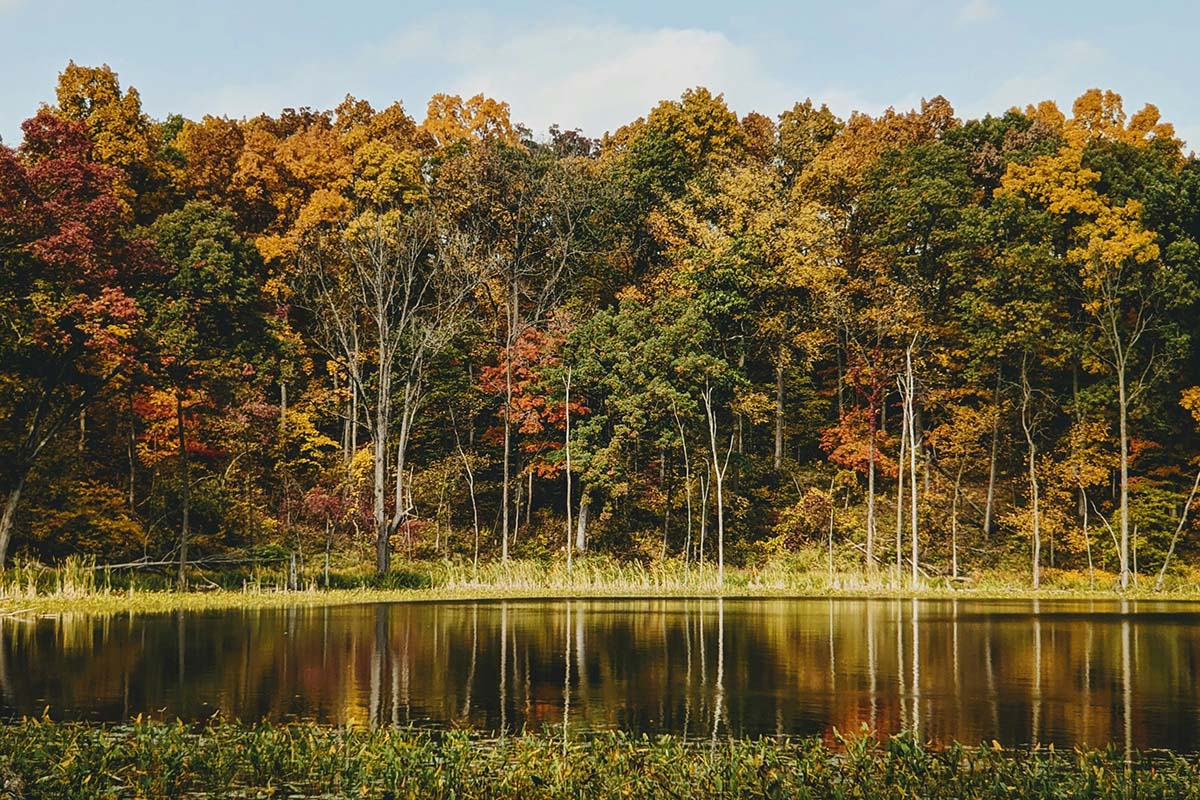 Autumn trees reflected on a placid lake.