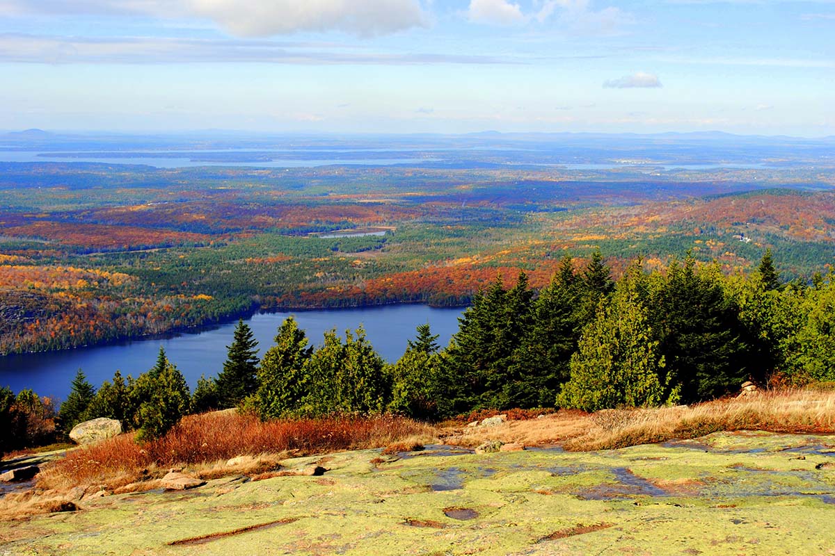 Trees turning golden on a mountain and around a lake.