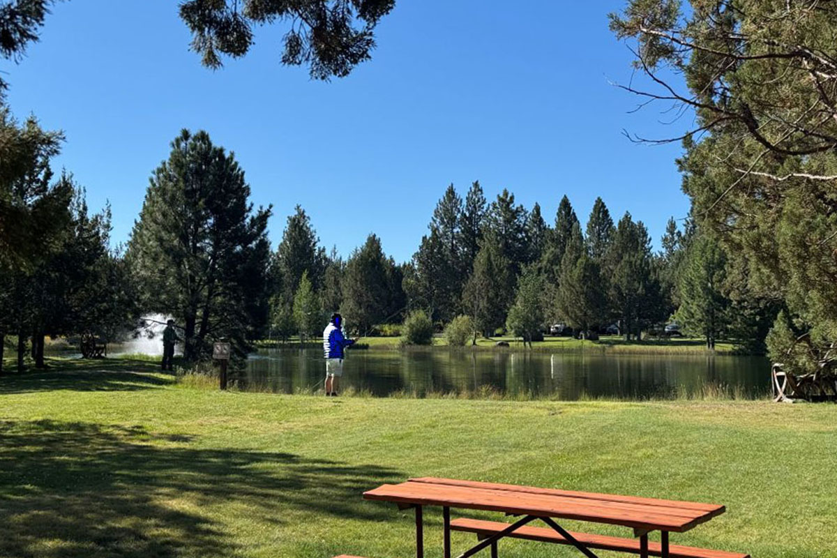 Man fishing in a placid pond surrounded by forest.
