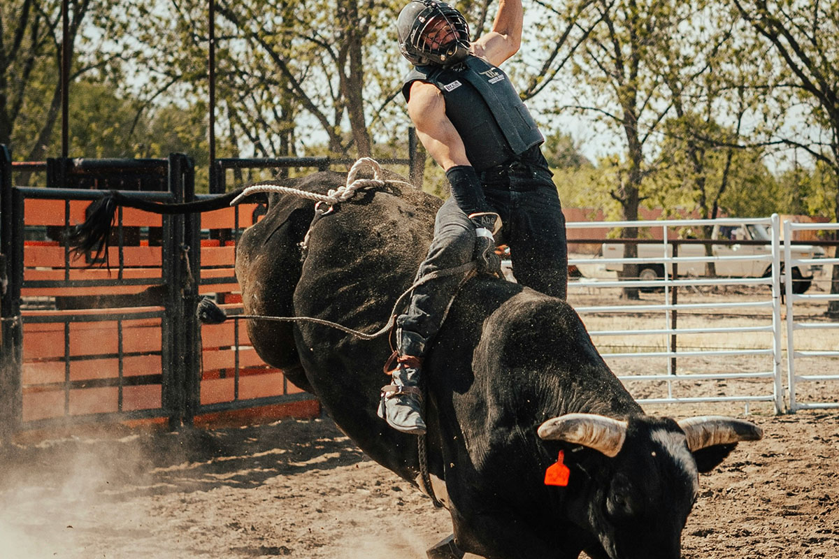 Bull rider with helmet