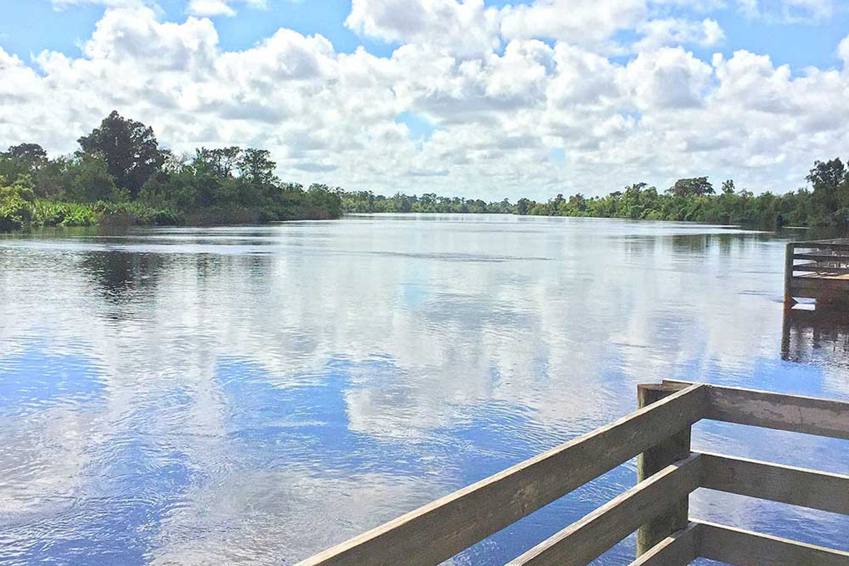 View of River