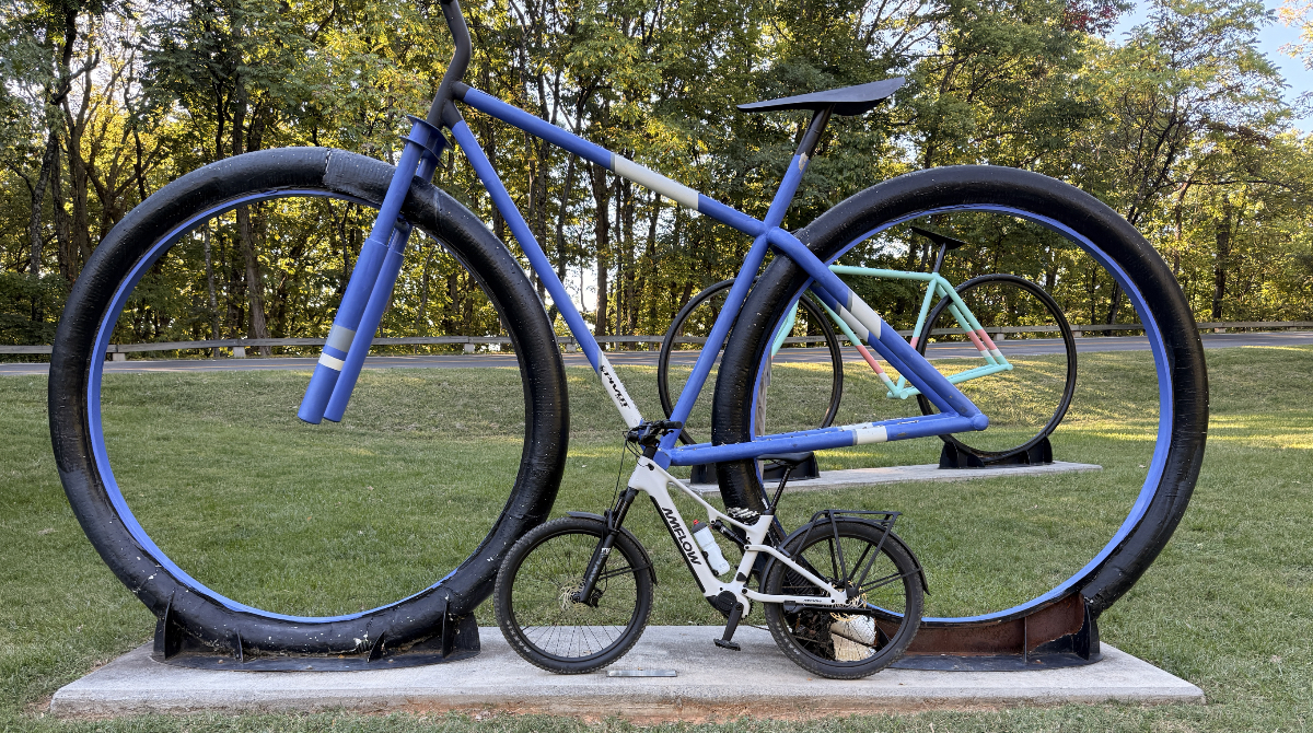Amflow TL Carbon