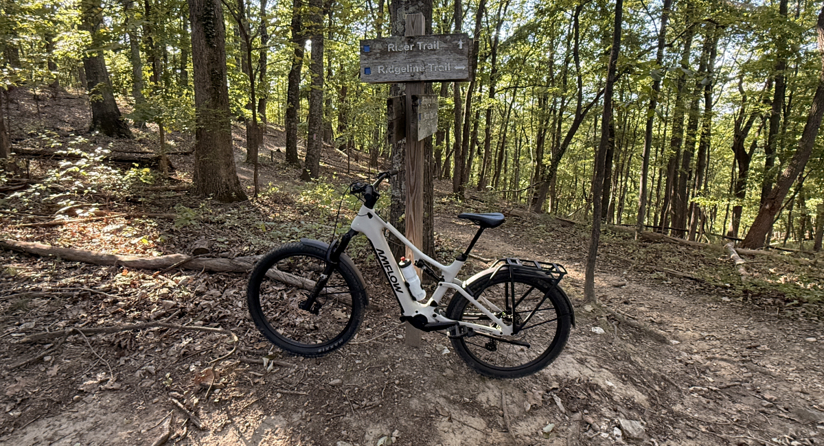 Amflow TL Carbon