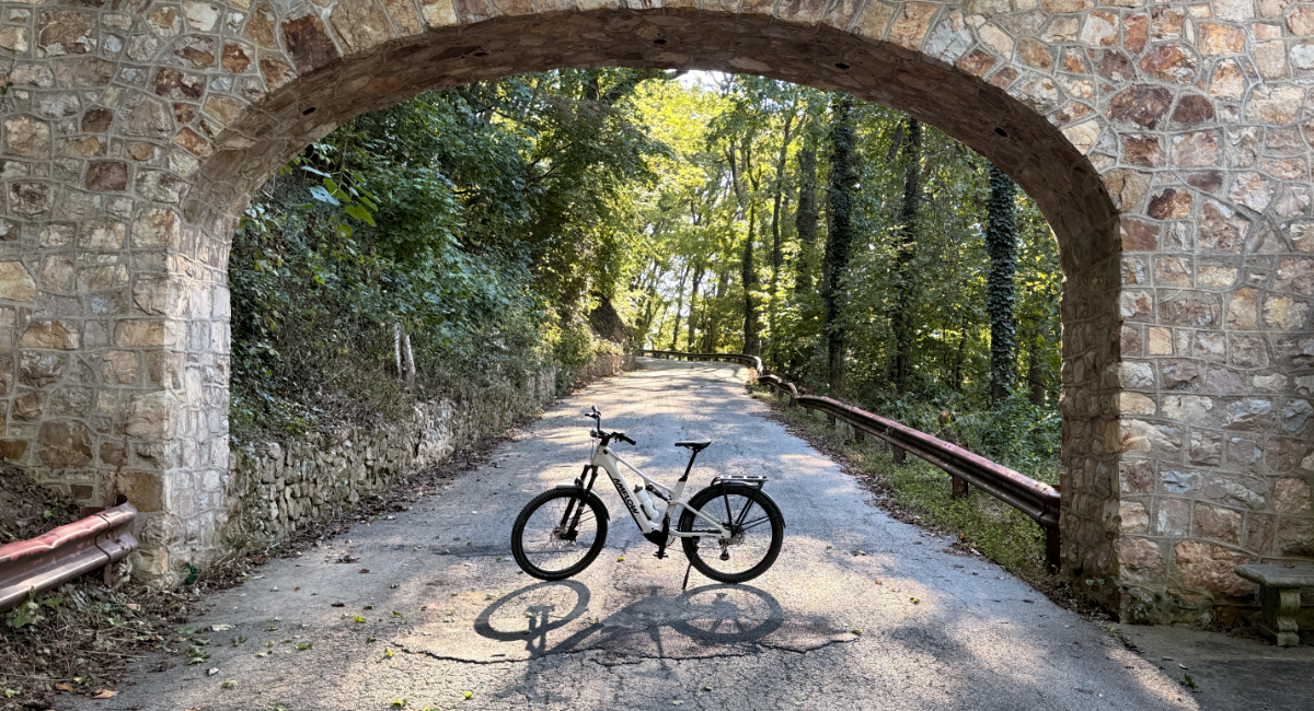 Amflow TL Carbon