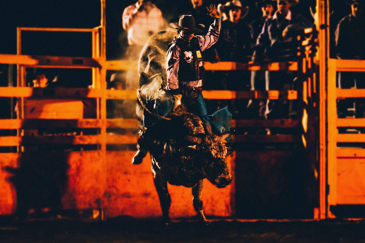 Bull rider just out of the gate in red light.